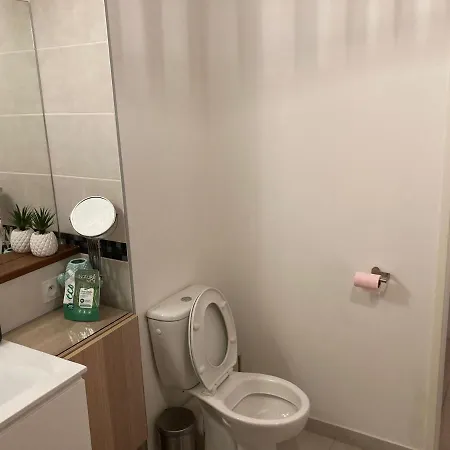 Charmant Cosy A Apartment Bayonne